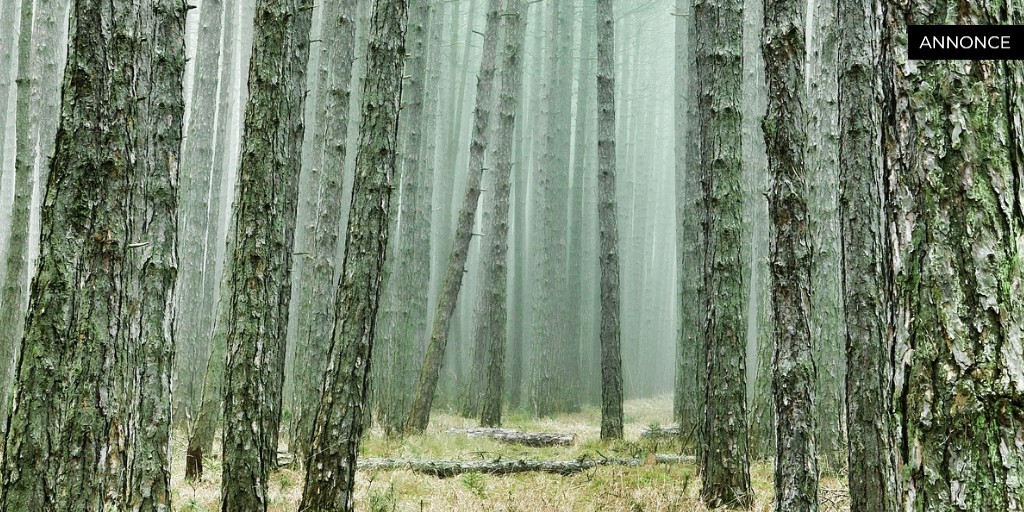 Opplev Thailands mangfold: En praktisk guide for norske reisende
